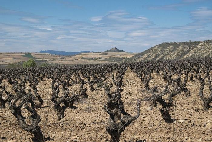 Gastronomía y vino en 6 días: de la Rioja a los pintxos de San Sebastián