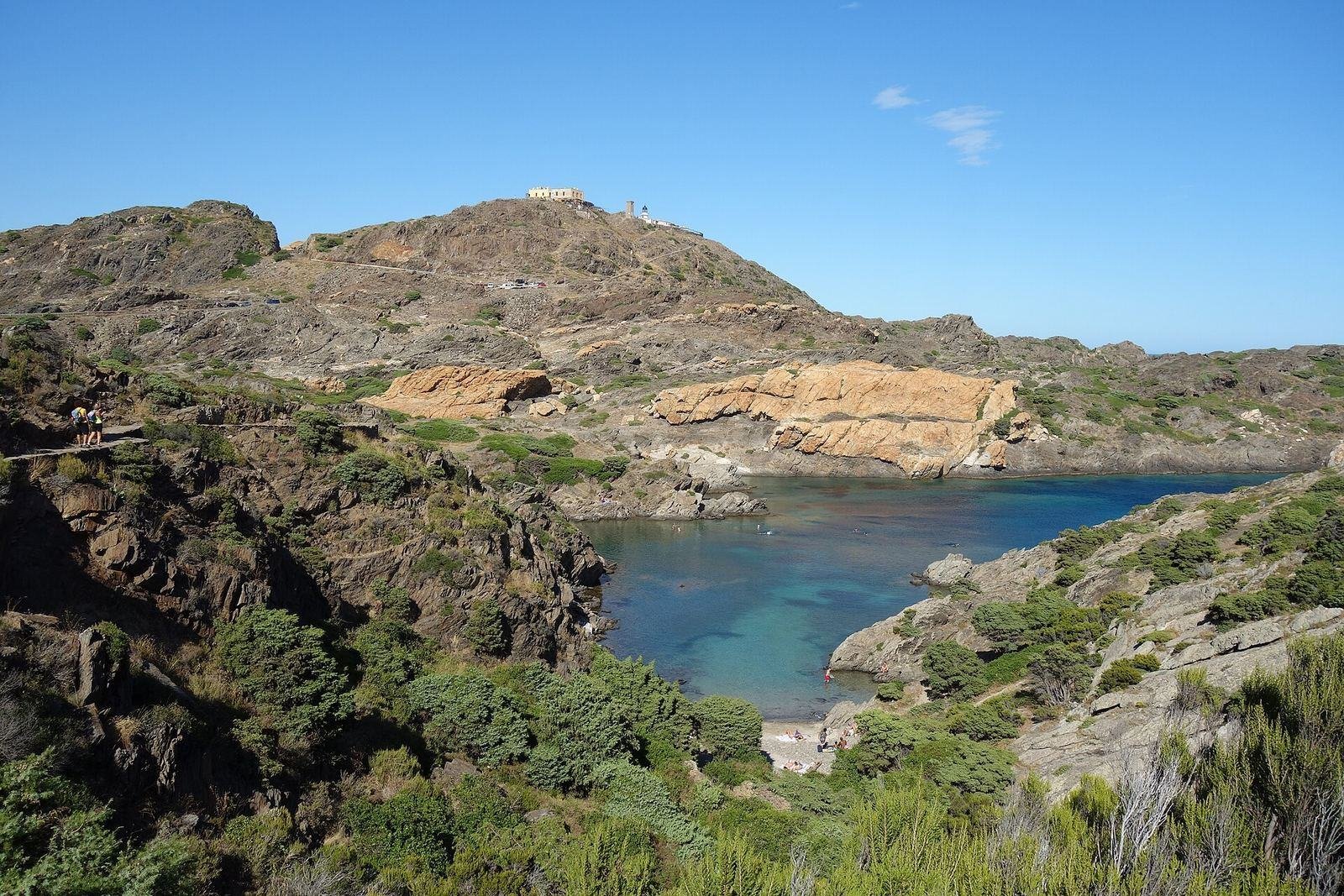 Naturaleza en España: parques, bosques y aves